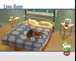 Los Sims 2 Mascotas Original PC #48