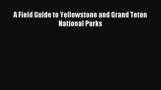 [Download] A Field Guide to Yellowstone and Grand Teton National Parks Ebook Free