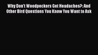 Read Books Why Don't Woodpeckers Get Headaches?: And Other Bird Questions You Know You Want