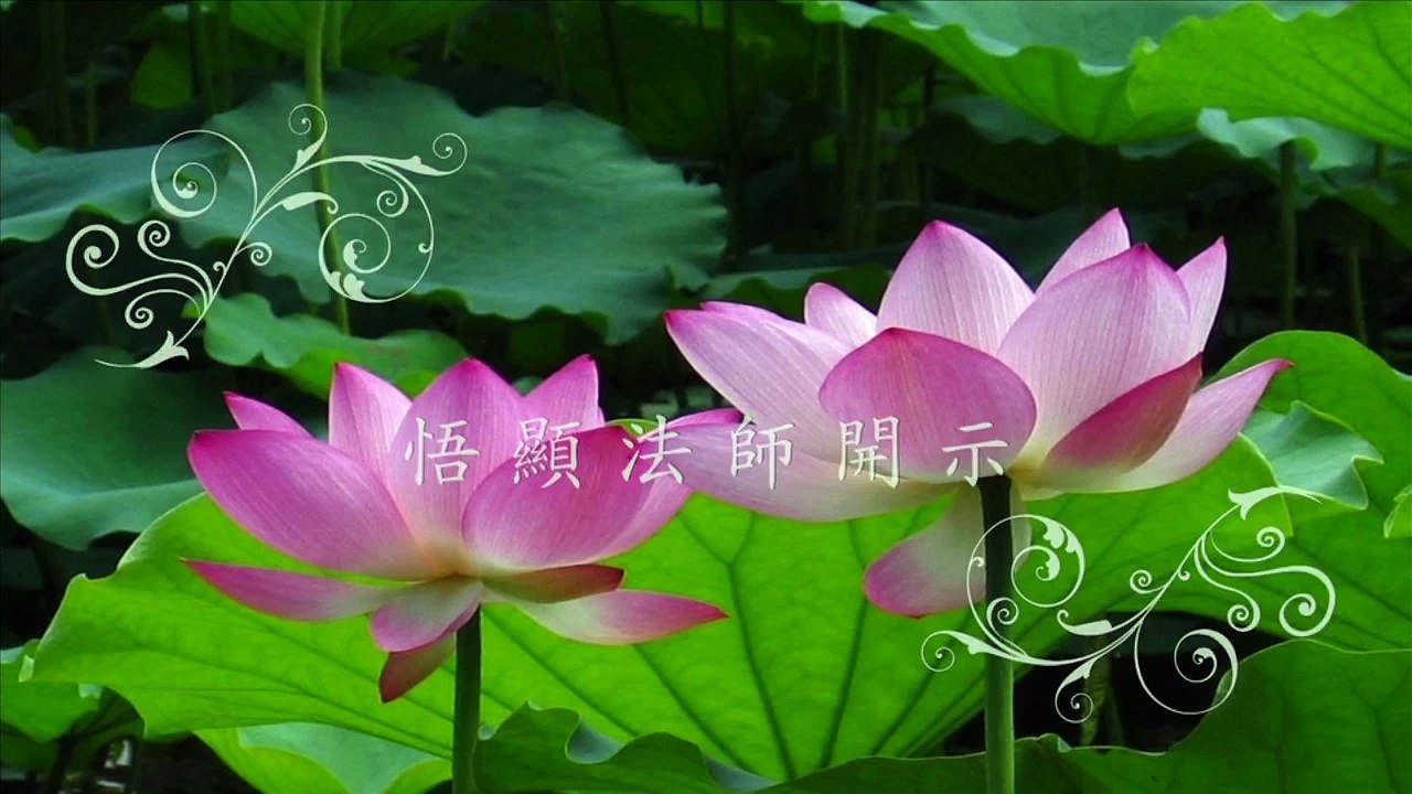 101 04 29 拜願開示70 如何出愛河