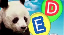 ABC Song! - 3D Animated Nursery Rhymes - Teach Kids and Toddlers ABC