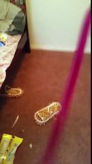 Epic toy channel soooo cool(3)