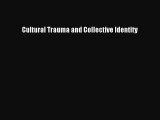 Download Book Cultural Trauma and Collective Identity ebook textbooks