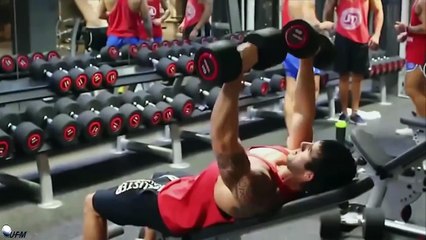 Aesthetic Bodybuilding Motivation - Training Everyday