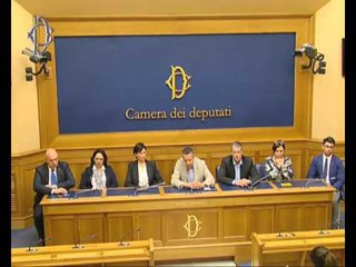 Roma - Linea politica - Conferenza stampa di Matteo Bragantini (09.06.16)