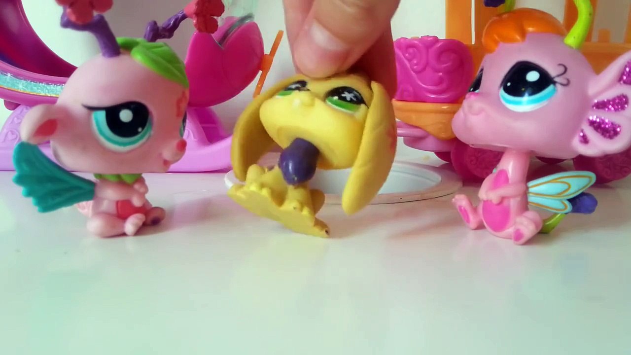LPS: Elements - 1