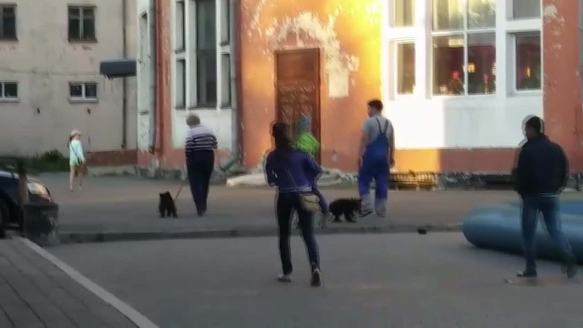 ロシアの街中を散歩するのは犬ではなくまさかのあの動物