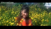 Hum Tere Bin Kahin - Anuradha Paudwal, Manhar Udhas - Sadak (1991) _HD 1080p_