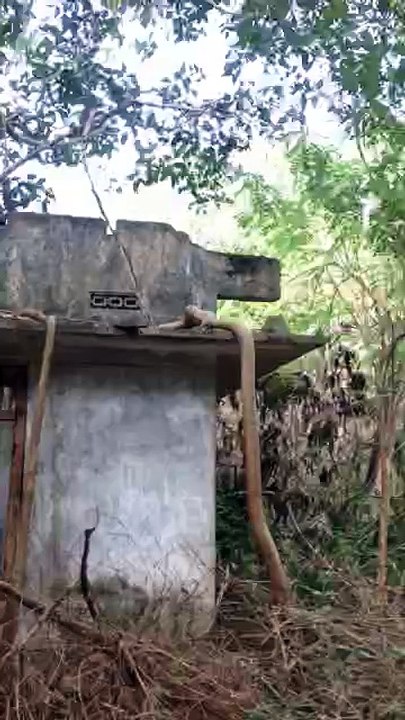 VID-20150412-WA0001