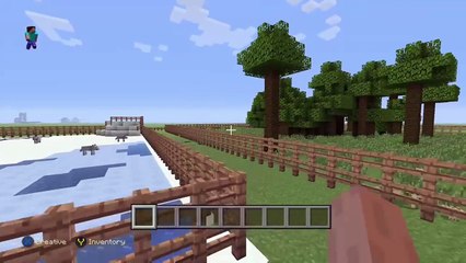 Minecraft: Zoo Project for school