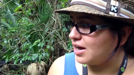 Best Fails of the Week 1 May 2016 || "That Squirrel Just Attacked Me! by FailArmy