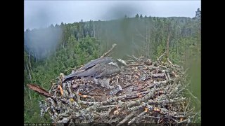 ED & IRMA 6-11-16 Irma does a couple fly abouts