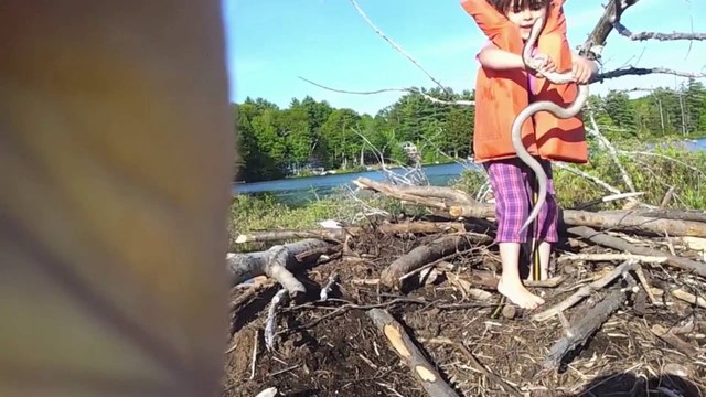 Petite fille trouve un gros serpent