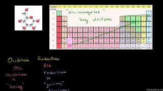 Bio 22 Oxidation and Reduction Review From Biological Point of View Urdu