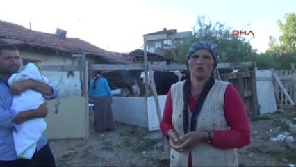 Beton Mikseri Gecekonduya Çarptı