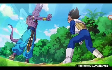 Végéta enragé vs beerus dbs