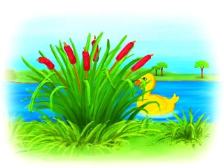 Tiny Love. MAGIQ Time (2007)