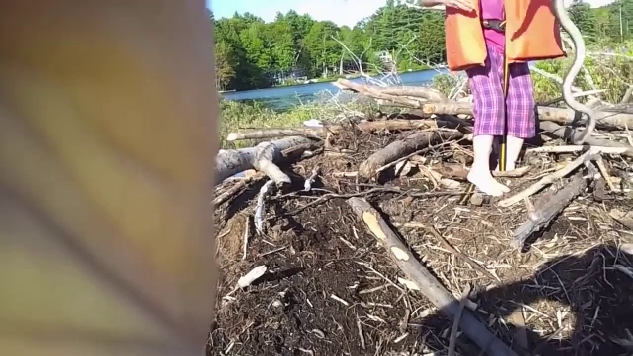 Une fillette trouve un gros serpent : même pas peur