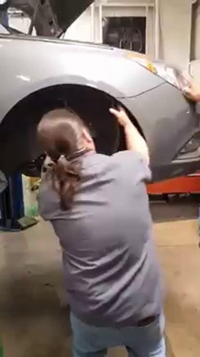Il trouve un chat coincé dans le moteur d'une voiture...