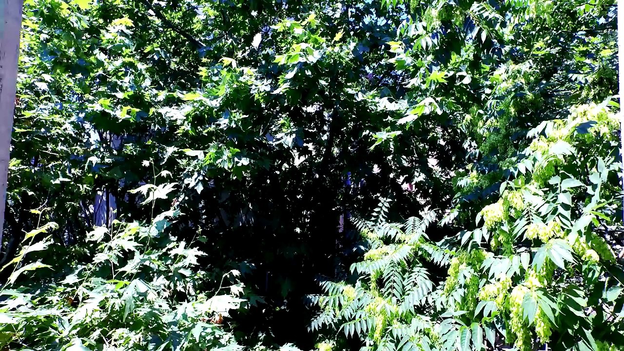 Oben Budak (Discoben) - Hayat (Original Mix)