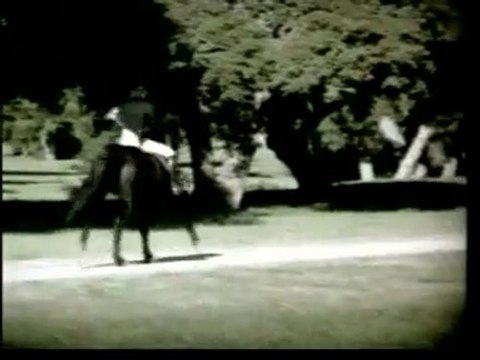 Stevie Wonder - I just called to say I love you - Extended original version