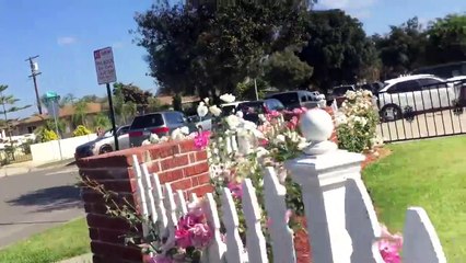 Il s'écrase dans une maison avec sa voiture et veut prendre la fuite à pied