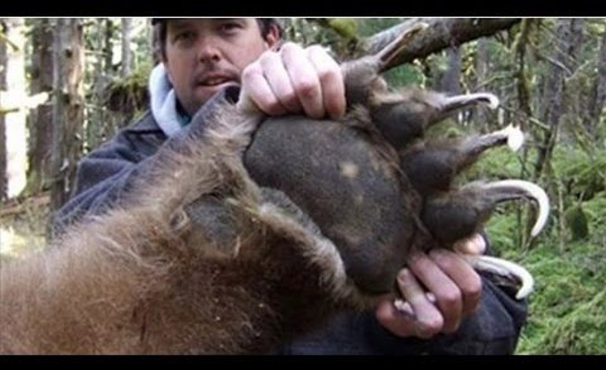 Biggest Animals You Wont Believe Exist!