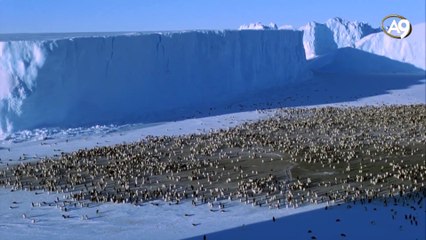 Buzlar dünyası: giriş