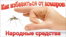 Как защититься от комаров. Народные средства.
