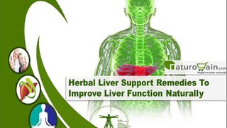 Herbal Liver Support Remedies To Improve Liver Function Naturally