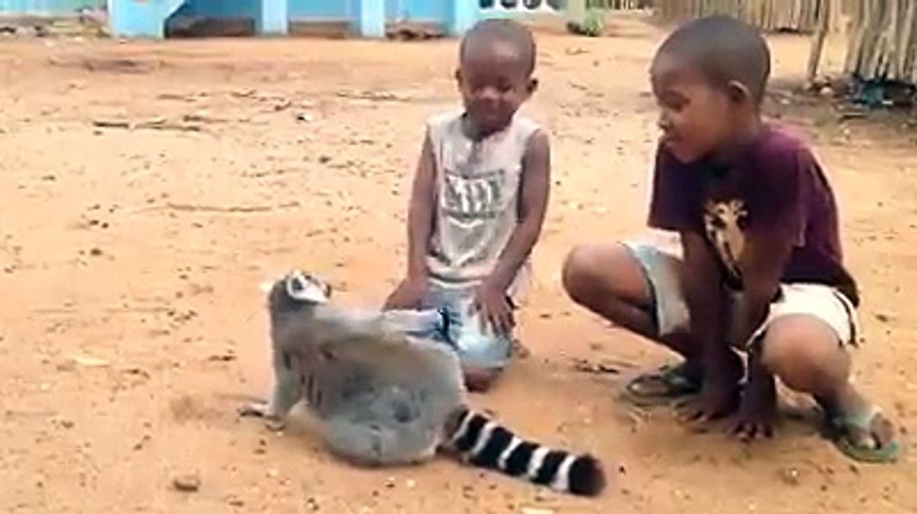 funny video 2
