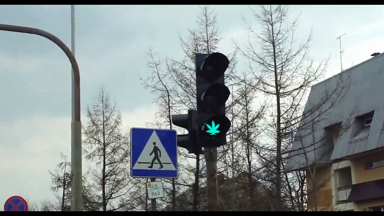światła