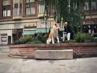 La vera storia di Hachiko