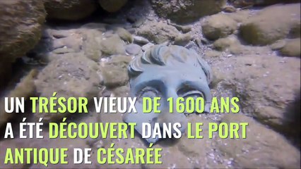 Deux plongeurs font la découverte d'une collection d'objets antiques en Israël