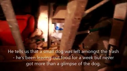 Gli Inquilini Lasciano Casa Piena Di Rifiuti: La Scoperta Del Proprietario è Inquietante