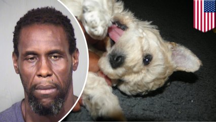 Arizona dad tripping balls on weed incinerates family dog, says 'Devil made me do it'