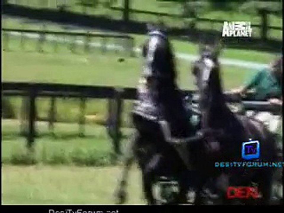 Untamed Uncut 1st August 2014 Video Watch Online Pt2