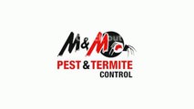 Sydney, AU General Pest Control - Benefits of Hiring a Professional Pest Control Company