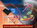 Sabar Aur Rehmat by Allama Raza Saqib Mustafai sahib