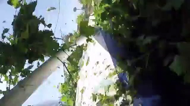 Un crash d'avion transportant 17 parachutistes filmé de l'intérieur