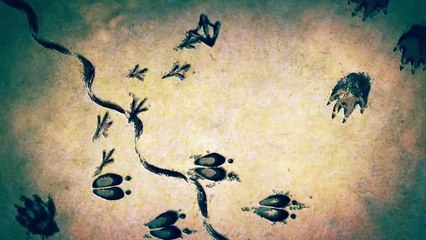 L'aventurier Coyote Peterson joue avec un ocelot sauvage