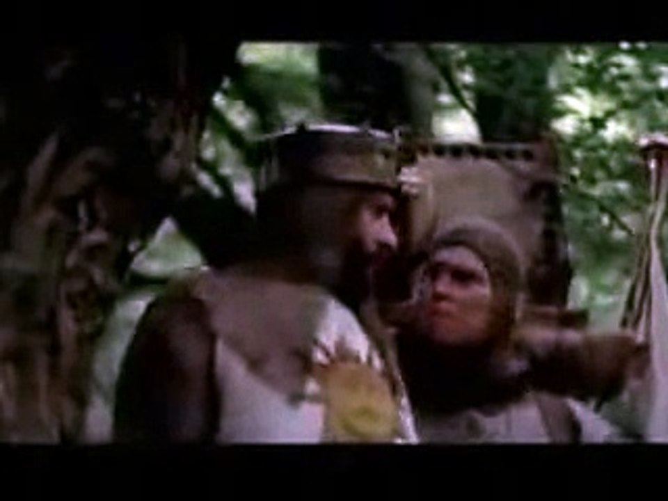Monty Python And The Holy Grail YOU SHALL NOT PASS!