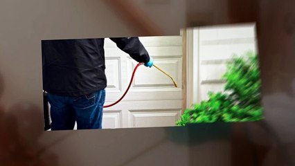 Pest Control Bosie Idaho