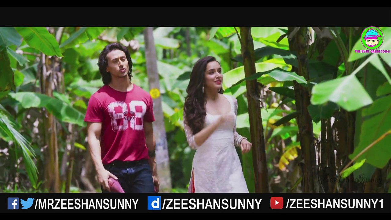 Girl I Need You Song Official Full Video HD 1080P BAAGHI by ZeeShanSunny