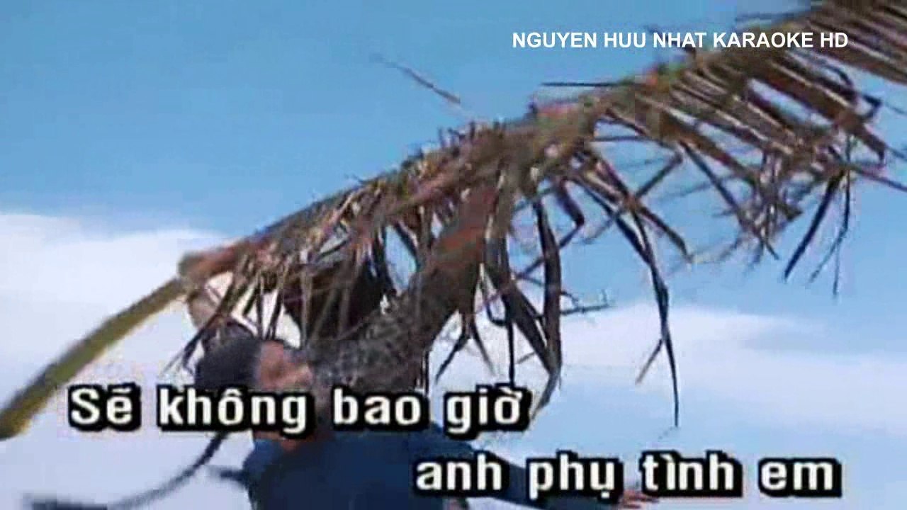 Karaoke Đừng Trách Anh Tội Nghiệp Trường Vũ Beat Chuẩn