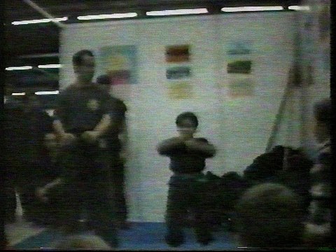 Démonstration de kungfu taichi au Salon des Artss martiaux Paris. Partie 2.1