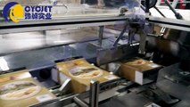 Biscuits Automatic Cartoning Machine/Automatic Cartoning Machine for Coffee Packaging/ Tea Box Packing Machine