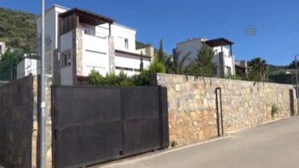 İrlanda Asıllı İş Adamından "Sokak Hayvanlarının İtlaf Edildiği" İddiası