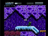 Battletoads [Nintendo]