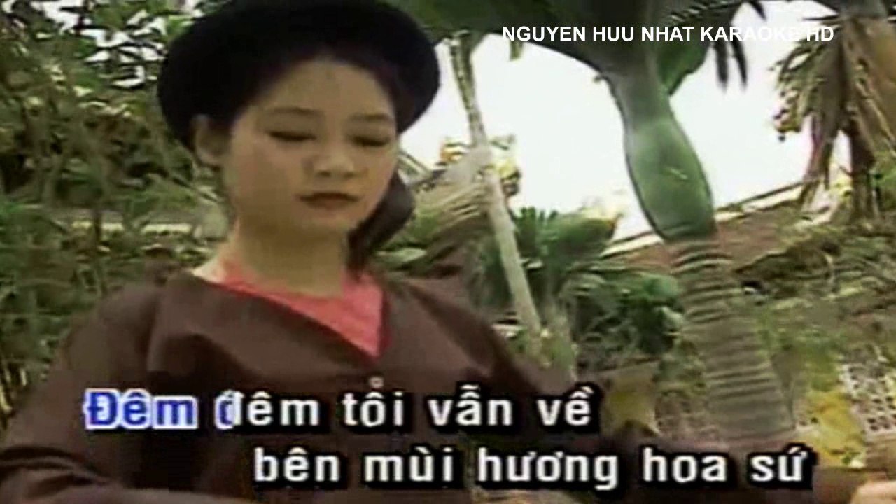 Karaoke Hoa Sứ Nhà Nàng 2 Trường Vũ Beat Chuẩn